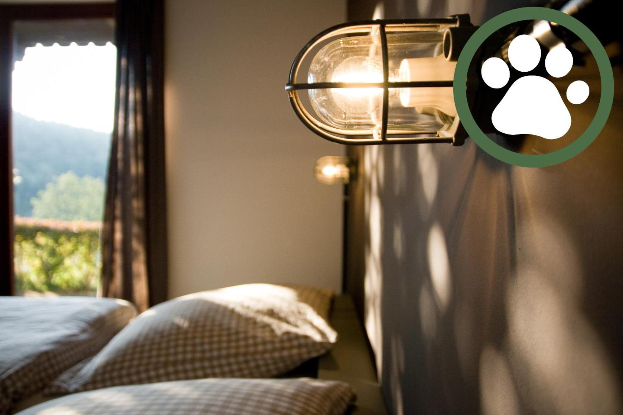 Harz BnB Werkmeister Sankt Andreasberg Zimmer foto